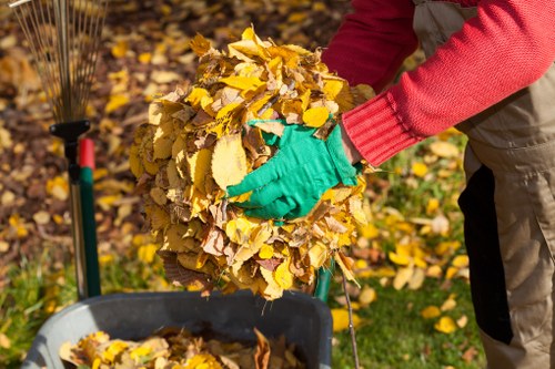 Professional rubbish collectors removing clutter