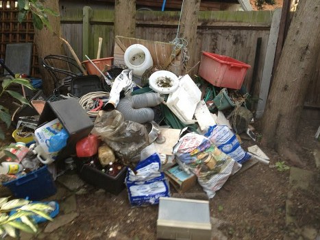 Assessment process during hoarder clearance in Hackney Marshes