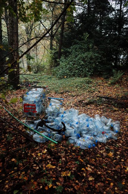 A large pile of discarded plastic water bottles with blue caps and transparent bodies is accumulated on the ground within a wooded area, surrounded by fallen leaves and dense green and brown foliage.